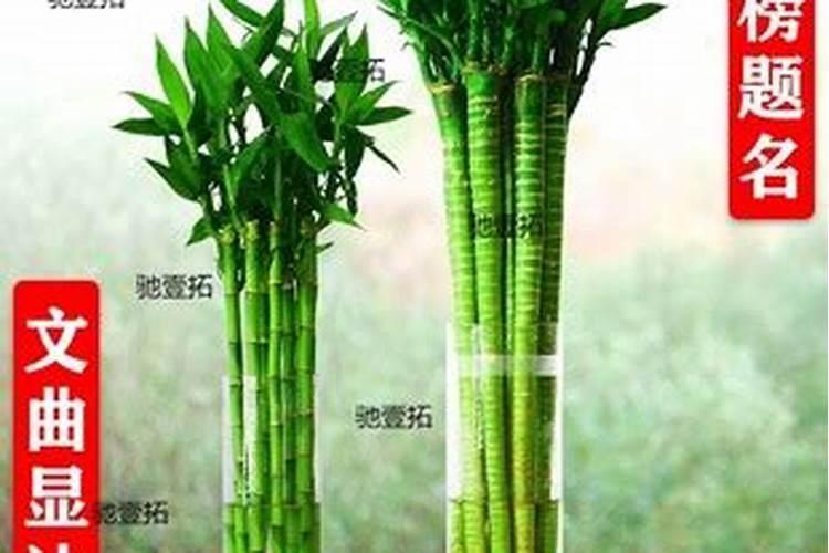 两个算命的说我过了今年结婚的希望就渺茫了,谁能帮我算算