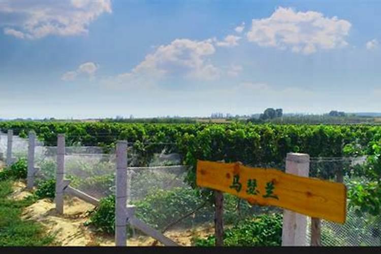 沈万三真正历史上,他是怎么发的财,聚宝盆是瞎鬼,这是不可能的。