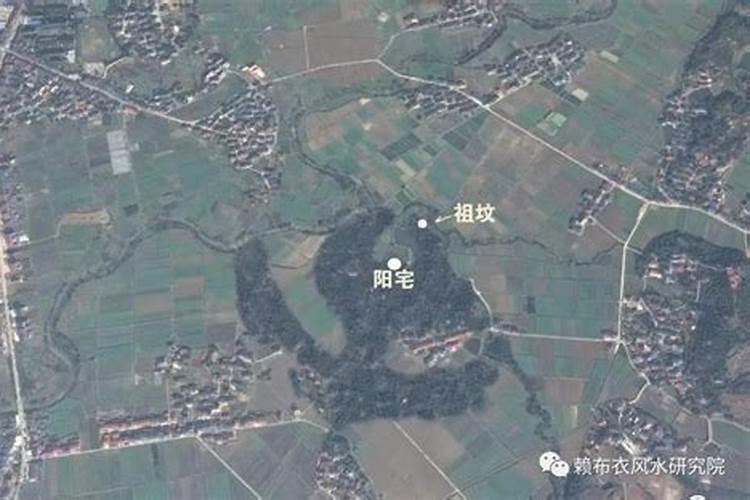 六里坪森林公园属于哪里