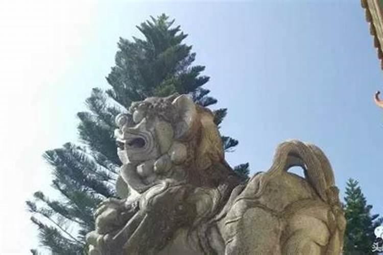 餐桌墙上挂什么画风水