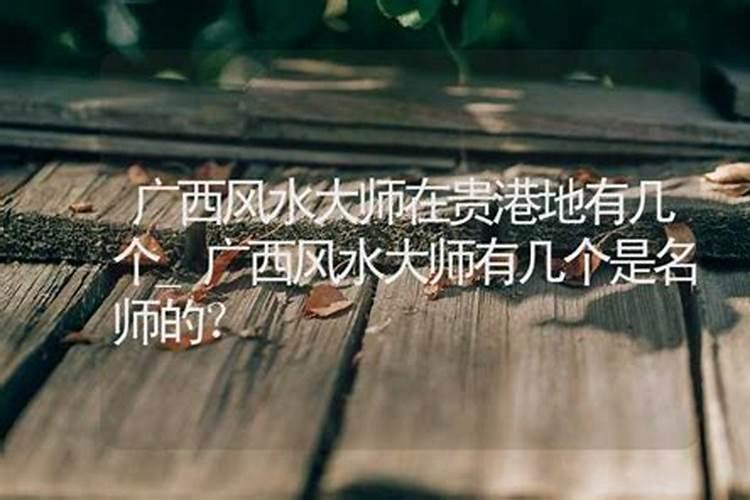 广西有几位真正的风水大师