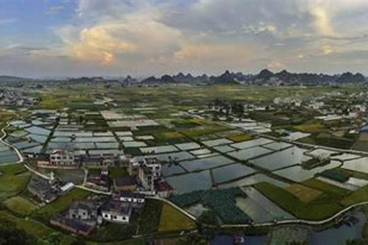 郑州市郑东新区聚源路小学就近入学划片的根据是什么？