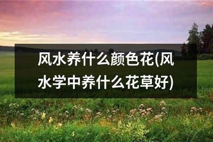 鞋柜楼梯对着风水好不好