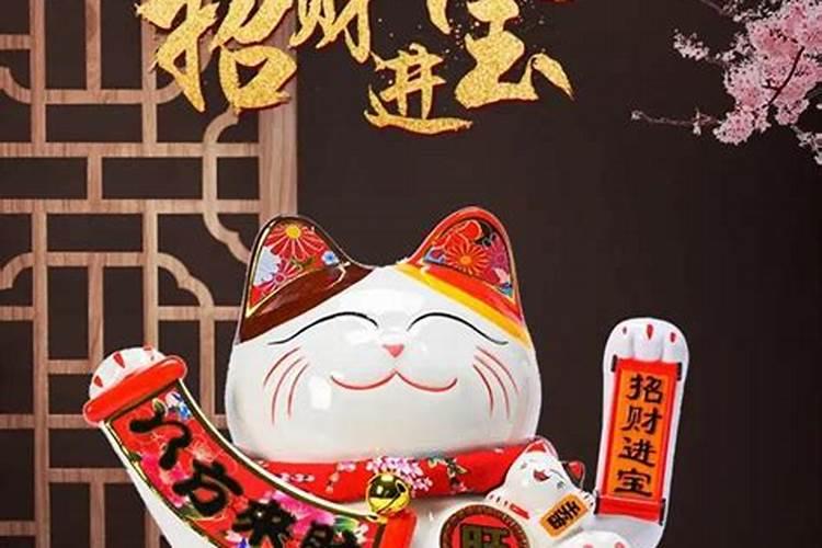 风水学上养猫是聚财还是破财