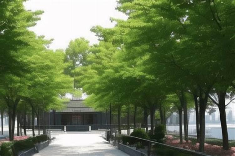 风水师在勘查楼盘风水时说的奇针八法是什么意思？