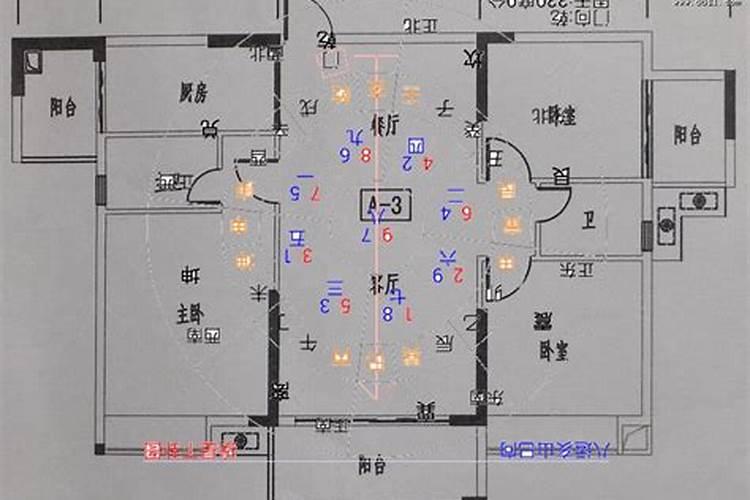 亥山巳向阳宅最旺什么