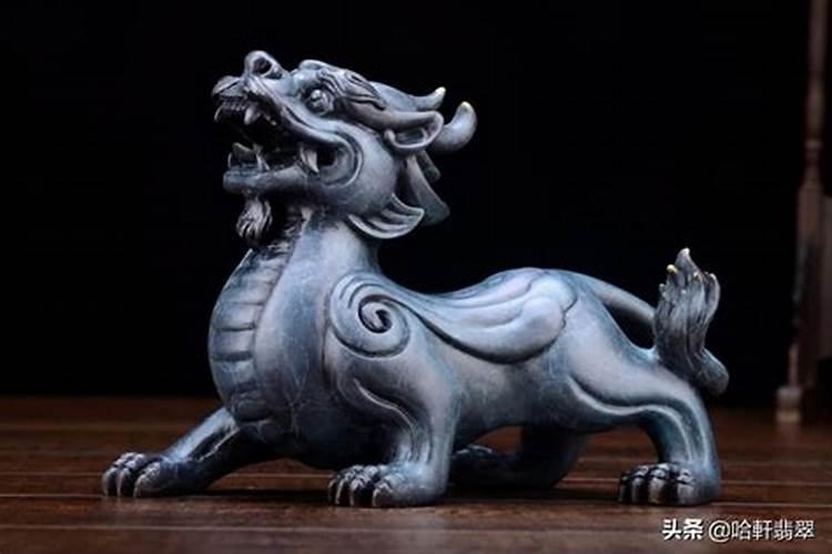 何仙姑是什么
