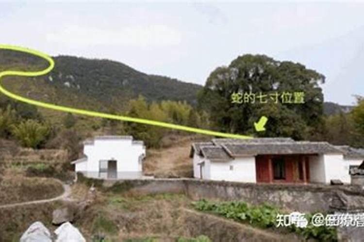 大海水命和什么命和财