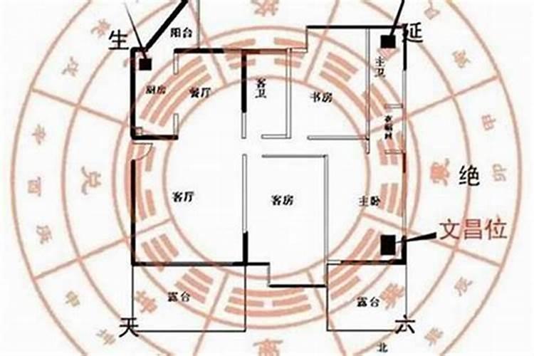 墓碑立在坟的什么位置