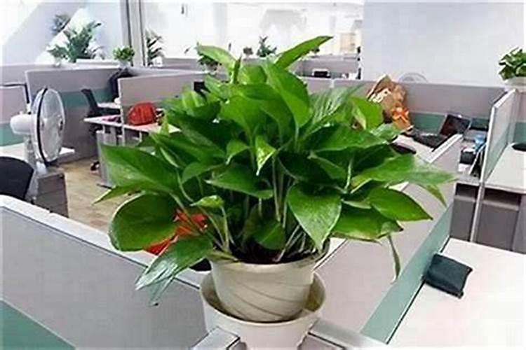 如何用八卦看风水 八卦怎么测风水？