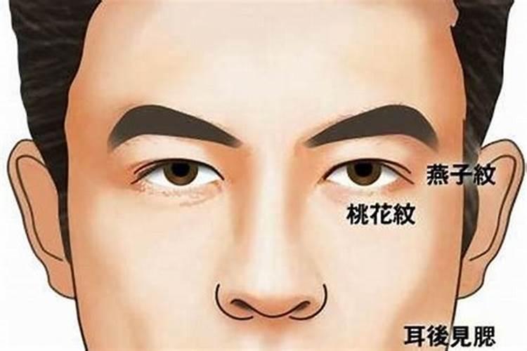 经营性公墓需要什么手续