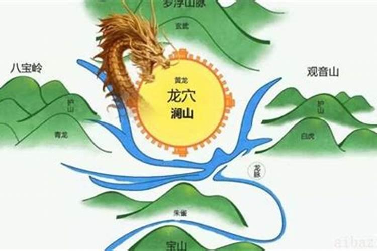 创业故事不带货,不收费,旬阳这个网红每天都在峡谷里干嘛