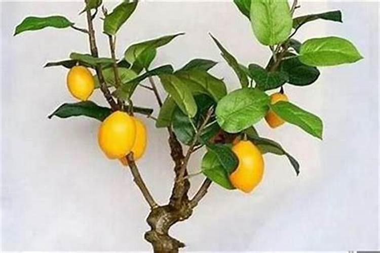 女人能看阴宅风水吗？!