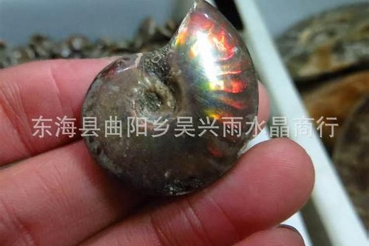 在家居士看电视的话是不是临终时候会去地狱啊？去不了极乐世界有这个说法...
