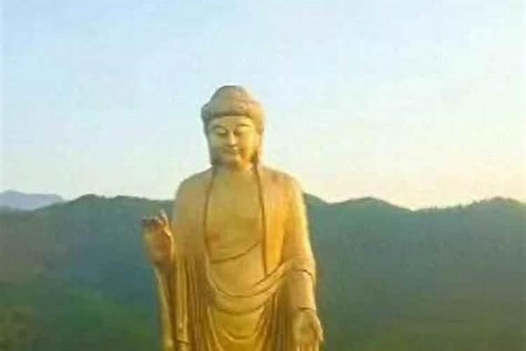 谁知道鲁山中原大佛的由来？