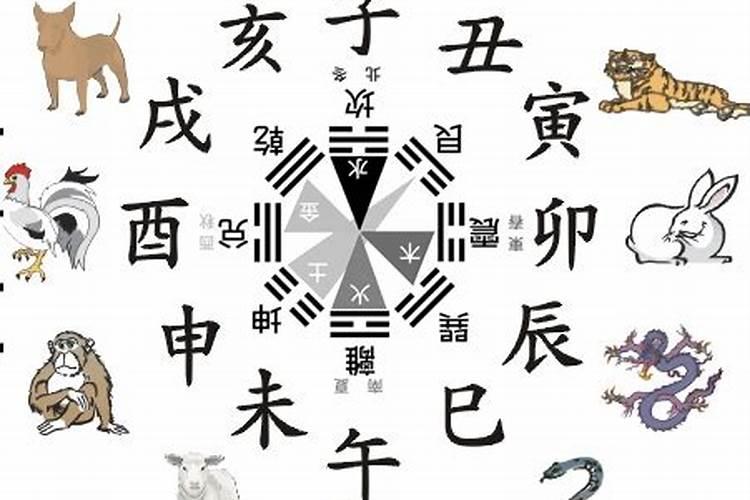 风水宝地属什么生肖正确