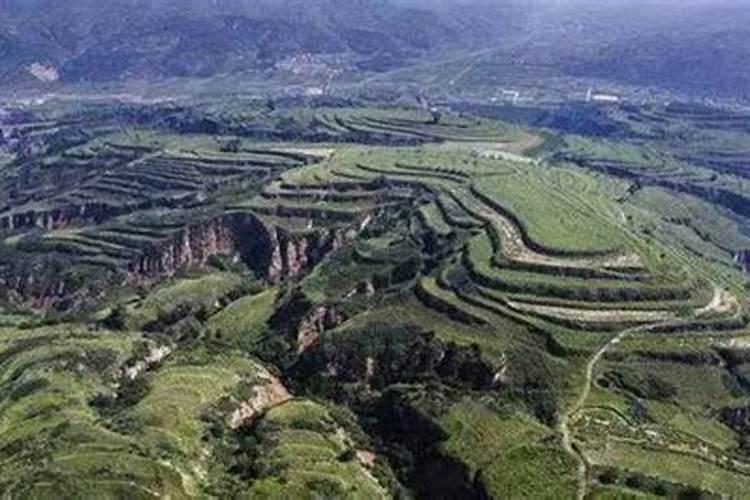 龙山虎山是什么意思