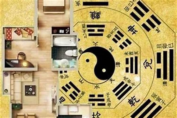 河南农村大门口放什么植物