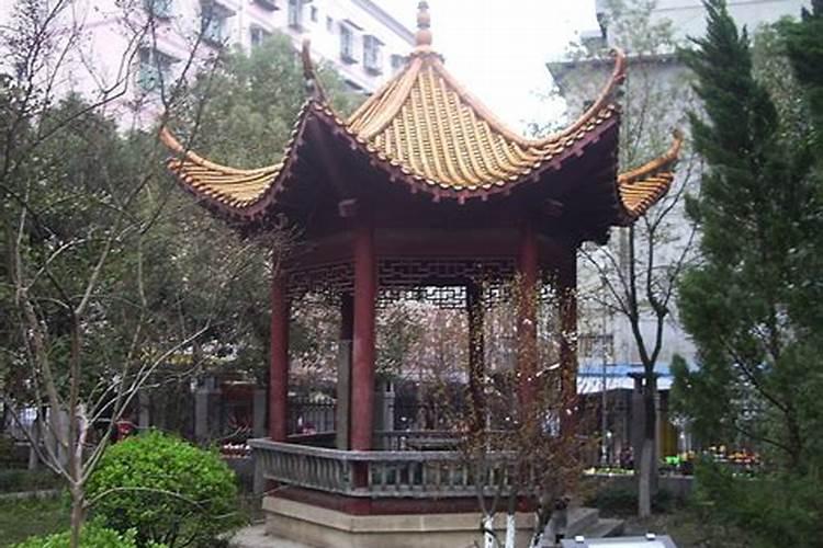 卧室生气位放什么最旺财