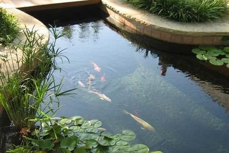 养殖猪最忌讳什么风水物品