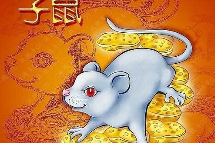 属鼠的风水命是水命吗？有个风水大师说我属鼠的风水命是水命,对吗？我...
