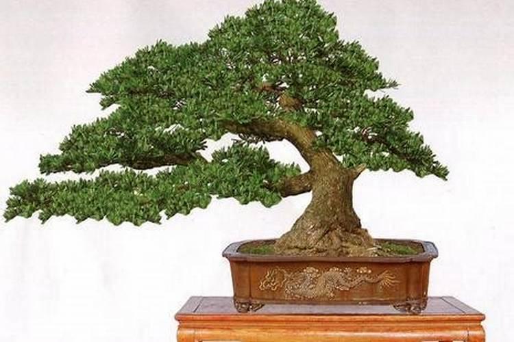 分居可以化解二婚命 二婚命化解的三种方法