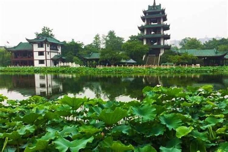 参观新都天府家风馆随笔