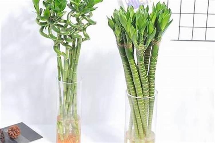 长春风水大师杨丰波有人知道吗？