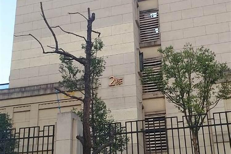 山区住宅风水应该如何布局？