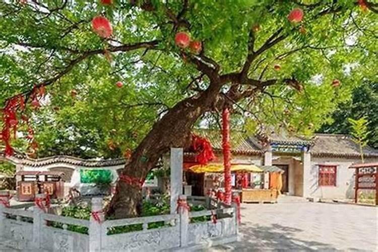 本山坐戌向辰兼乾巽分金风水好吗