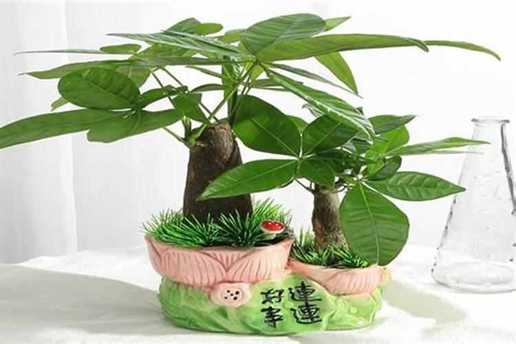 房子装修怎样看风水