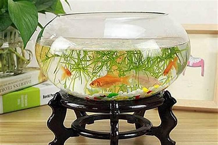 一本书读懂易经作者简介