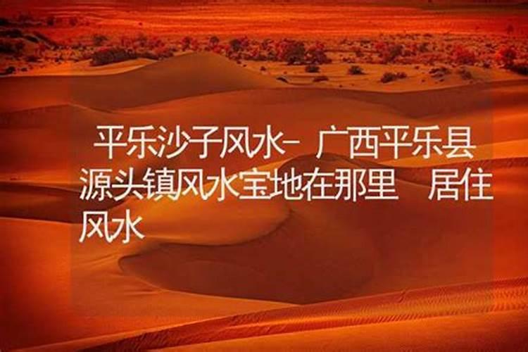 院子里种树有什么风水上的讲究吗