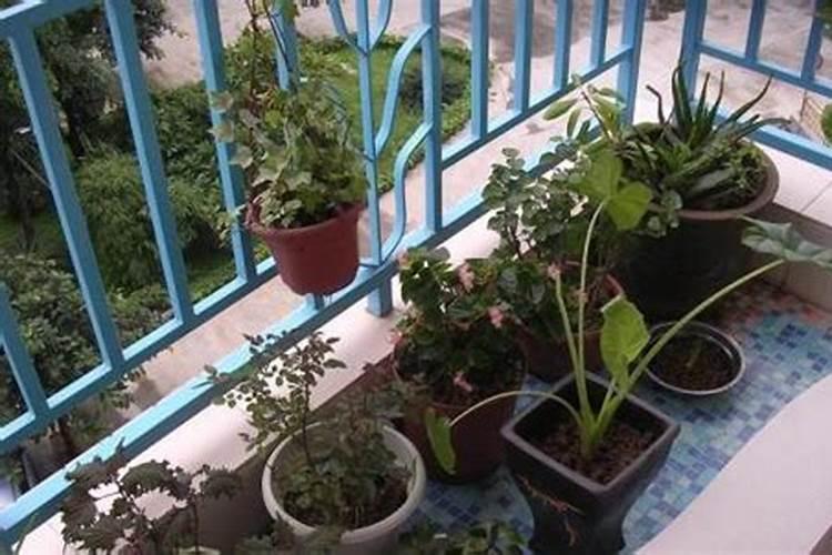 阳台风水怎么布置才招财