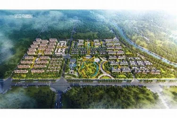 风水大师江仰强的资料介绍