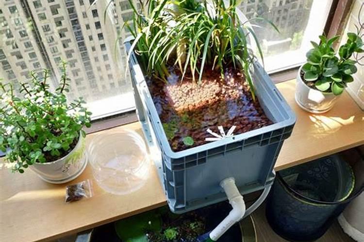 新房风水乔迁新居风水上有什么讲究？