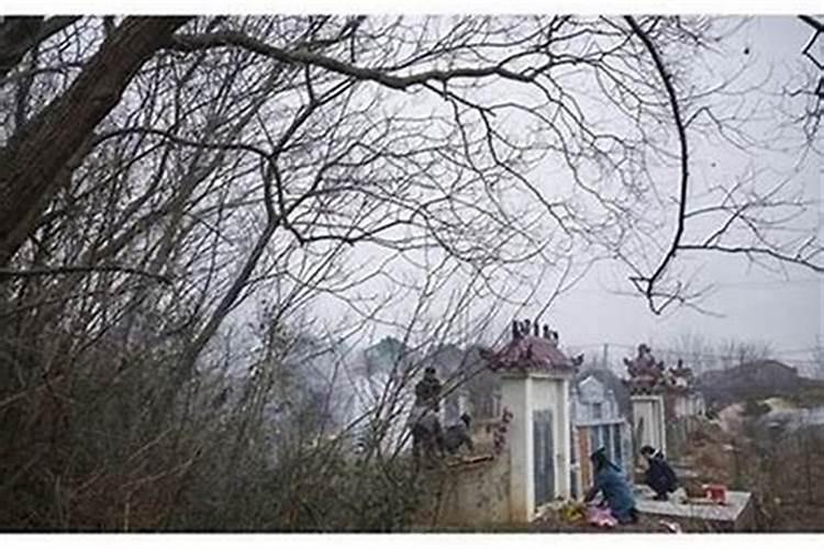 怎么才是好的墓地呢