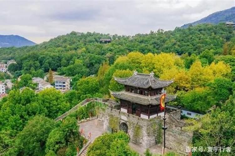 竹柏的风水禁忌