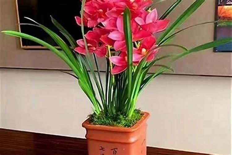 江西进贤哪些好玩的儿童乐园值得推荐？