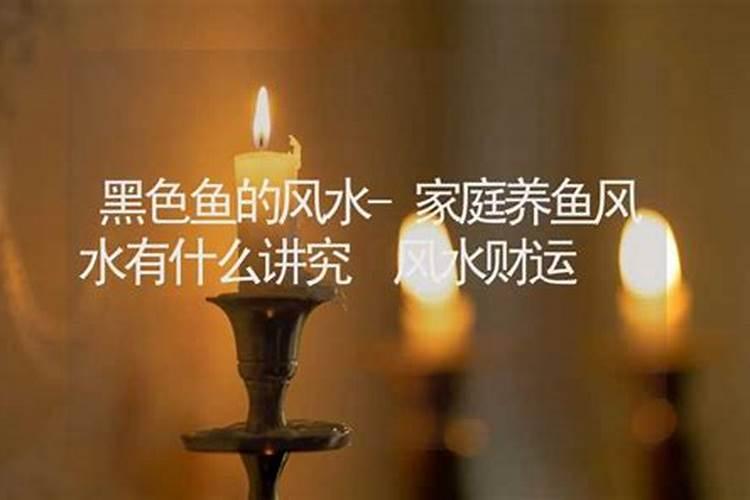 鱼缸放哪种颜色鱼旺财养几条 鱼缸什么颜色旺财