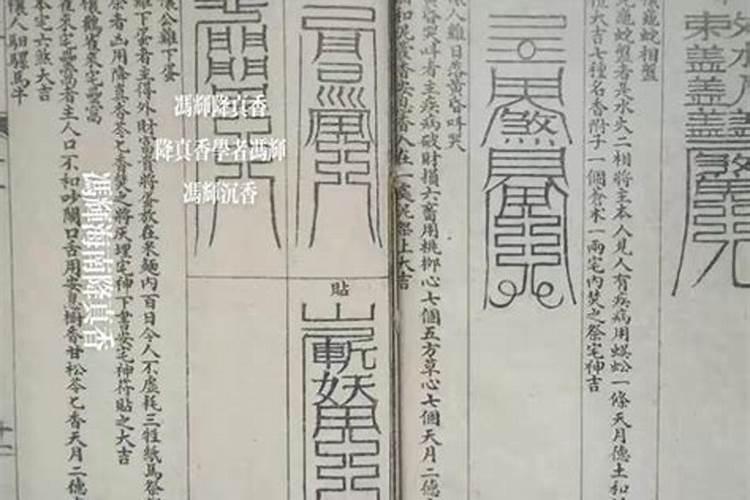 道士出观手游请神搭配怎么弄才最合理 请神搭配方案介绍