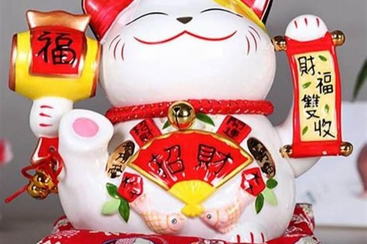 猫到底是招财还是来灾 风水学讲猫进家门财源滚滚