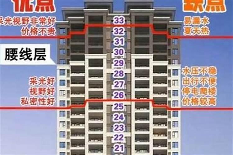 别墅后院什么树最旺风水