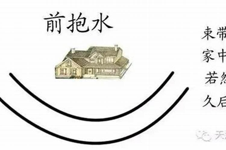 屋顶栽什么最旺风水树木