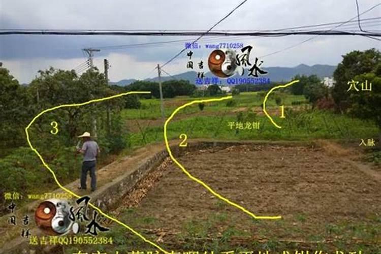 窝钳乳突图的风水形状