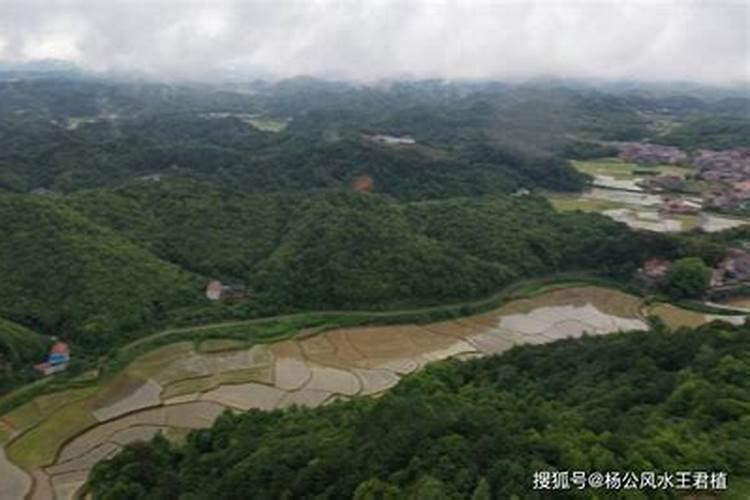杨卓成风水大师——杨卓成