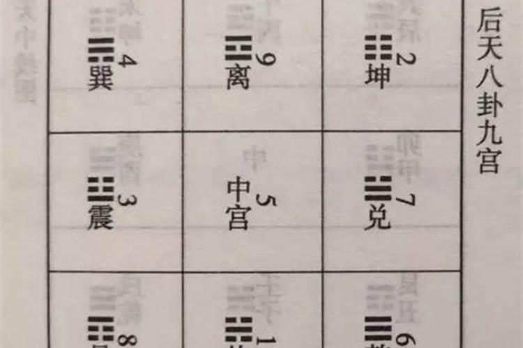 钓甲鱼用什么钩