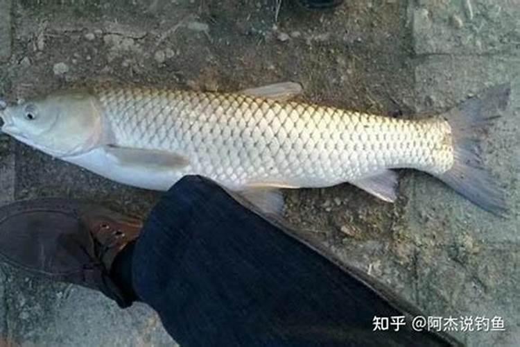 封阳台是选择推拉窗还是平开窗两个有什么不一样