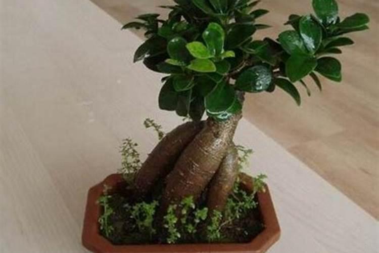 古代皇宫风水格局什么部门负责