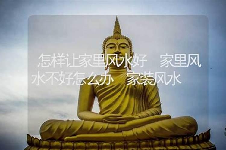 画杏花的画代表什么风水